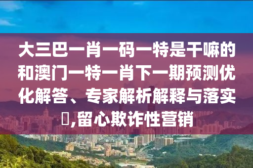 大三巴一肖一碼一特是干嘛的和澳門一特一肖下一期預測優(yōu)化解答、專家解析解釋與落實?,留心欺詐性營銷