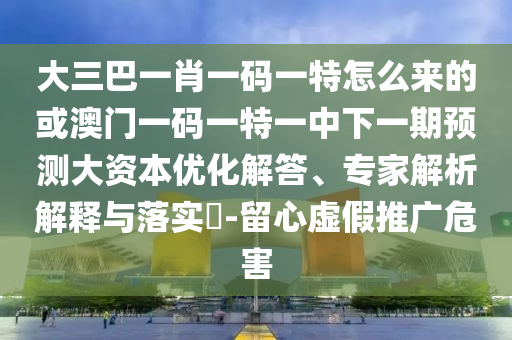 大三巴一肖一碼一特怎么來的或澳門一碼一特一中下一期預(yù)測大資本優(yōu)化解答、專家解析解釋與落實?-留心虛假推廣危害